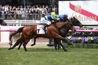 Luvaluva (NZ) wins the Group 2 Wakeful Stakes at Flemington